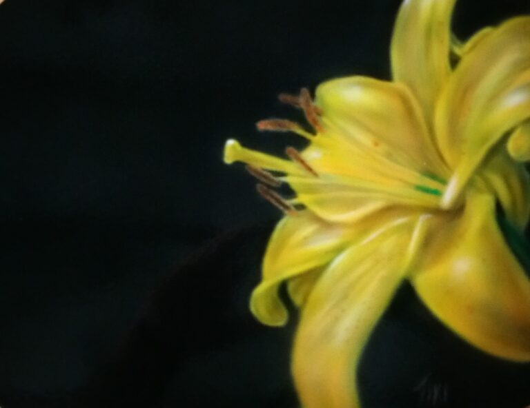 20170212_130540-edited